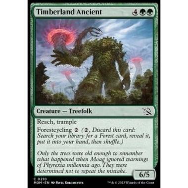 Timberland Ancient - Timberland Ancient - [MOM] [NM] [Foil]