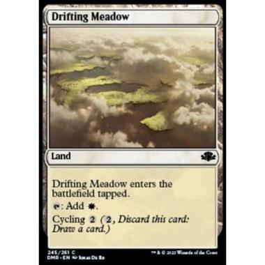 Drifting Meadow - Drifting Meadow - [DMR] [NM]