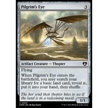 Pilgrim's Eye - Pilgrim's Eye - [CMM] [NM]