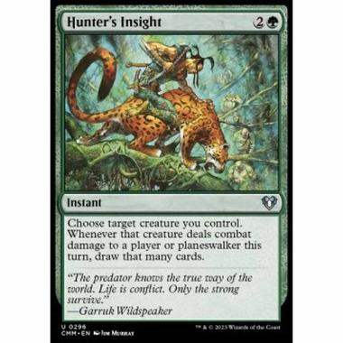 Hunter's Insight - Hunter's Insight - [CMM] [NM]