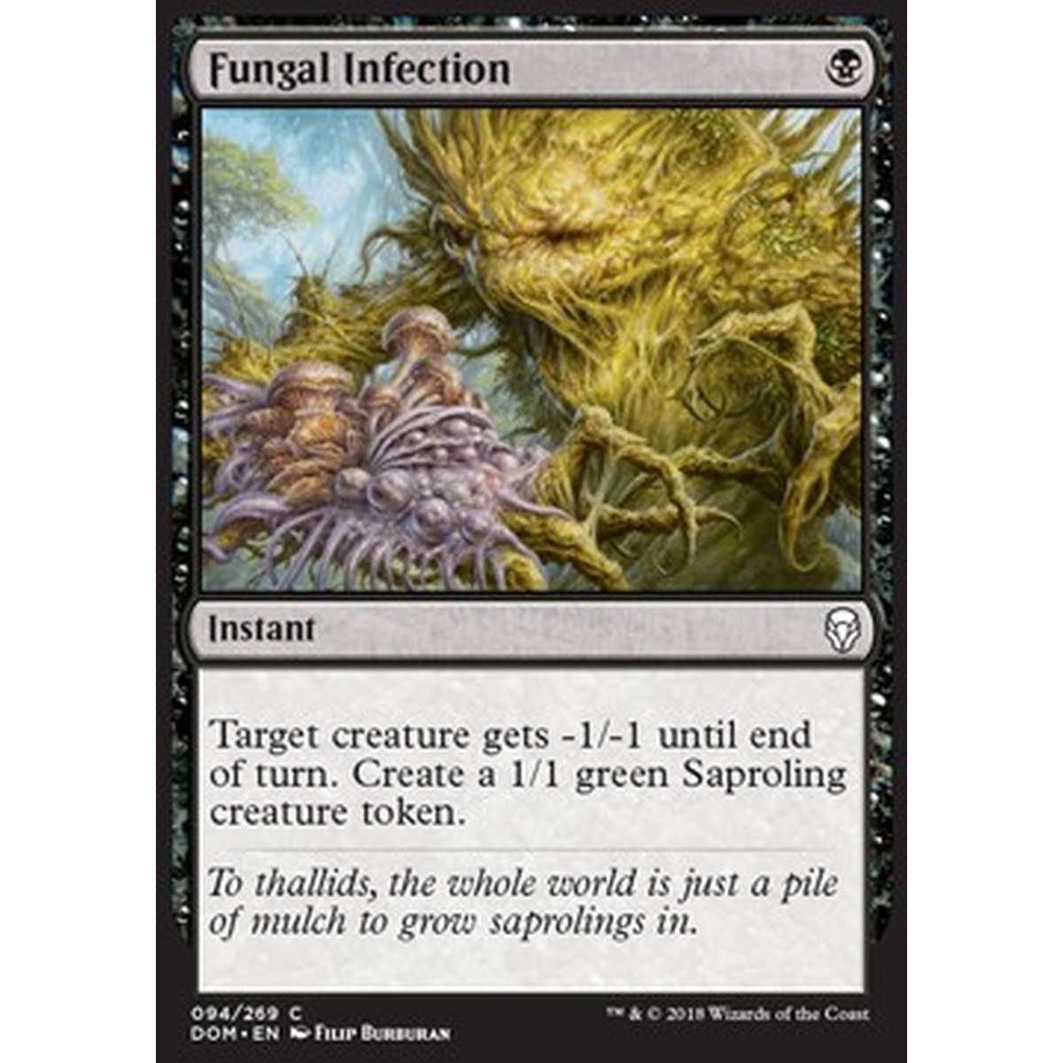 Fungal Infection - Infezione Fungina - [DOM] [NM]