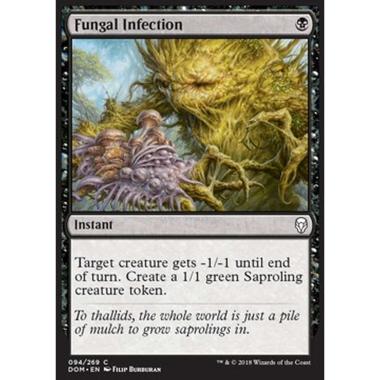 Fungal Infection - Infezione Fungina - [DOM] [NM]