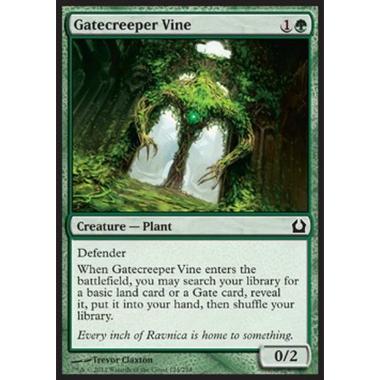 Gatecreeper Vine - Rampicante del Cancello - [RTR] [NM]