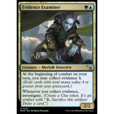Evidence Examiner - Evidence Examiner - [MKM] [NM]