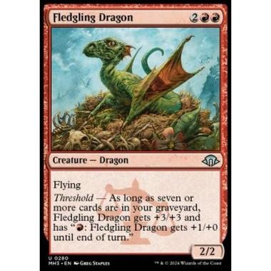 Fledgling Dragon - Fledgling Dragon - [MH3] [NM]