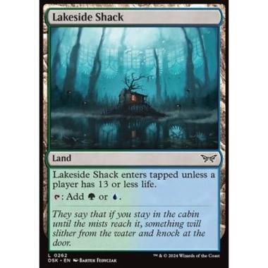Lakeside Shack - Lakeside Shack - [DSK] [NM]