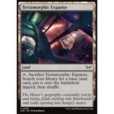 Terramorphic Expanse - Terramorphic Expanse - [DSK] [NM]