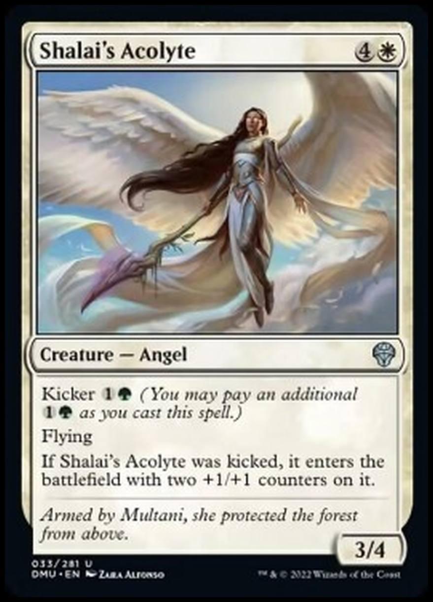 Shalai's Acolyte - Accolita di Shalai - [DMU] [NM] [Foil]