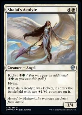 Shalai's Acolyte - Accolita di Shalai - [DMU] [NM] [Foil]