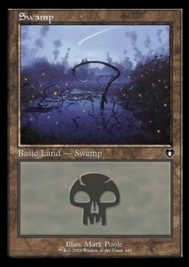 Swamp (V.3) - Swamp (V.3) - [XCMM] [NM]