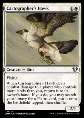 Cartographer's Hawk - Cartographer's Hawk - [CMM] [NM] [Foil]
