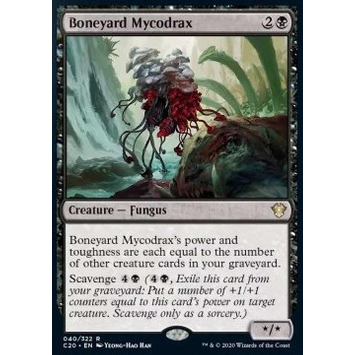 Boneyard Mycodrax - Boneyard Mycodrax - [C20] [NM]