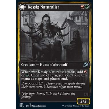 Kessig Naturalist // Lord of the Ulvenwald - Kessig Naturalist // Lord of the Ulvenwald - [DBL] [NM]