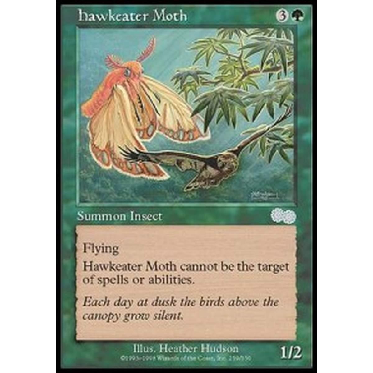 Hawkeater Moth - Hawkeater Moth - [USG] [EX]