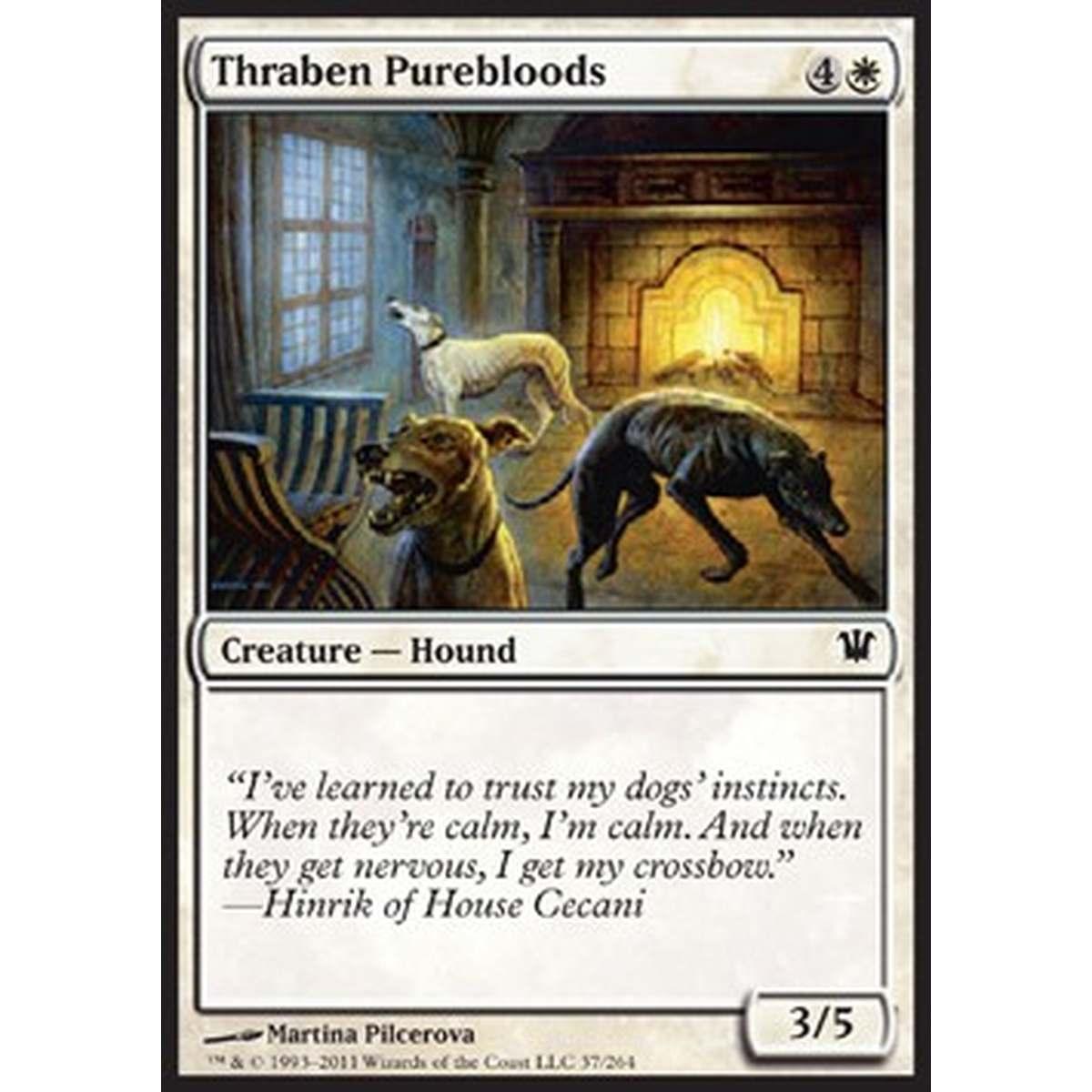 Thraben Purebloods - Purosangue di Thraben - [ISD] [NM] [Foil]