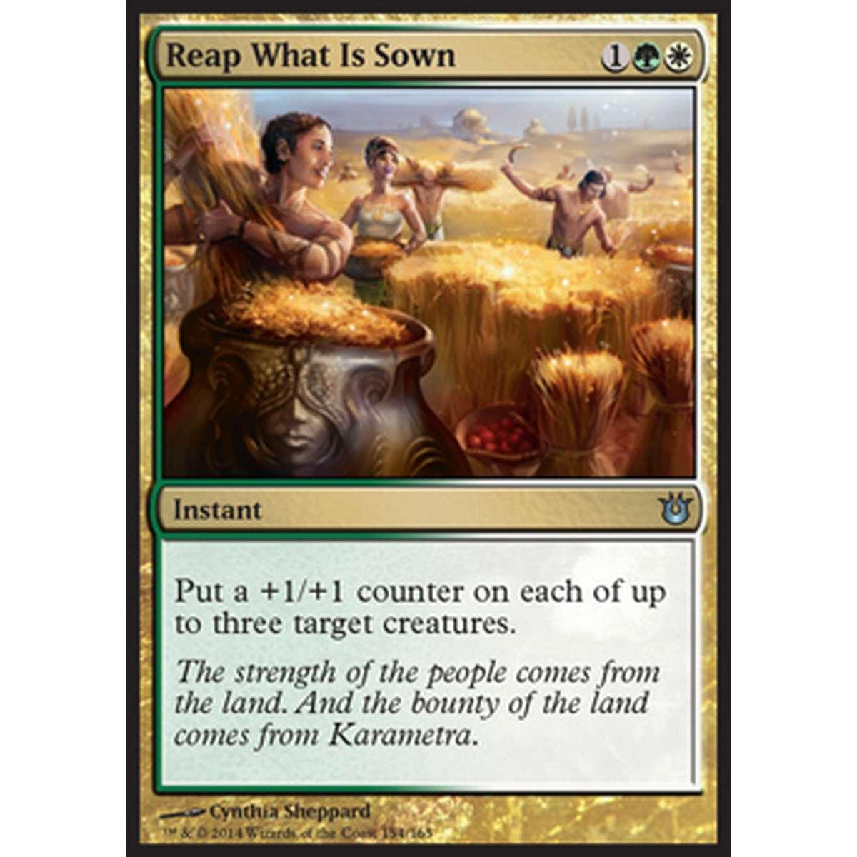 Reap What Is Sown - Mietere il Raccolto - [BNG] [NM] [Foil]