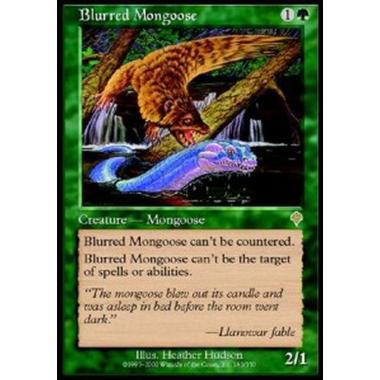 Blurred Mongoose - Mangusta Fulminea - [INV] [EX]