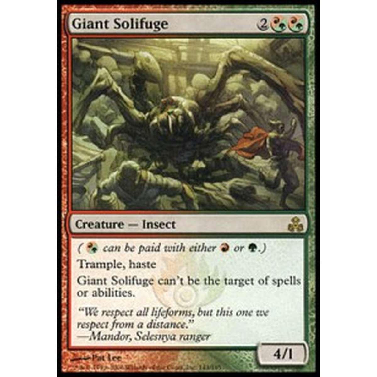 Giant Solifuge - Solifugo Gigante - [GPT] [NM]
