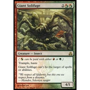 Giant Solifuge - Solifugo Gigante - [GPT] [NM]