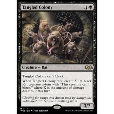 Tangled Colony - Tangled Colony - [WOE] [NM]