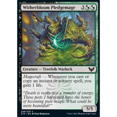 Witherbloom Pledgemage - Mago Iniziato di Germoglioscuro - [STX] [NM]