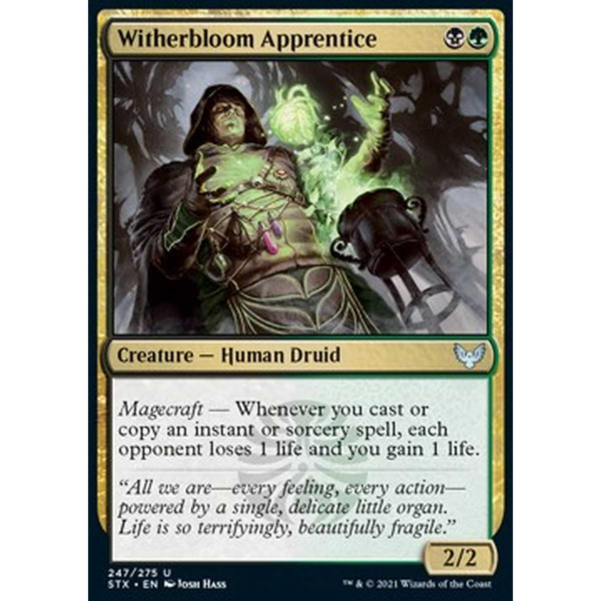 Witherbloom Apprentice - Witherbloom Apprentice - [STX] [NM]