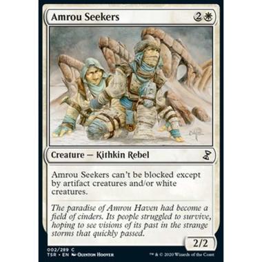Amrou Seekers - Amrou Seekers - [TSR] [NM]