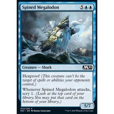 Spined Megalodon - Megalodonte Spinato - [M21] [NM]