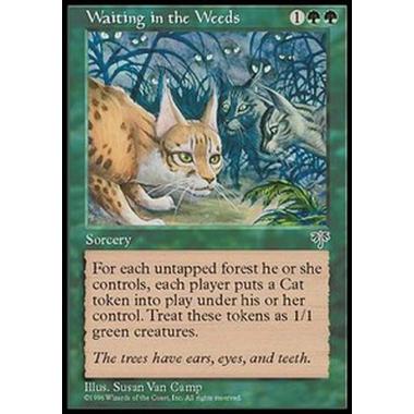 Waiting in the Weeds - Waiting in the Weeds - [MIR] [EX]