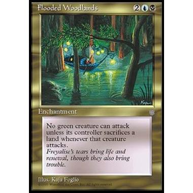 Flooded Woodlands - Flooded Woodlands - [ICE] [EX]