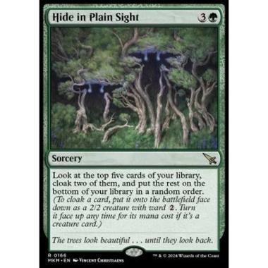 Hide in Plain Sight - Hide in Plain Sight - [MKM] [NM]