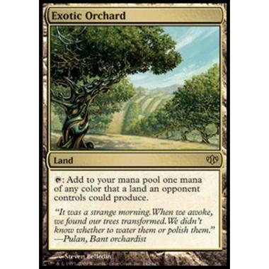 Exotic Orchard - å¼å½æžœå­ - [CONF] [EX]