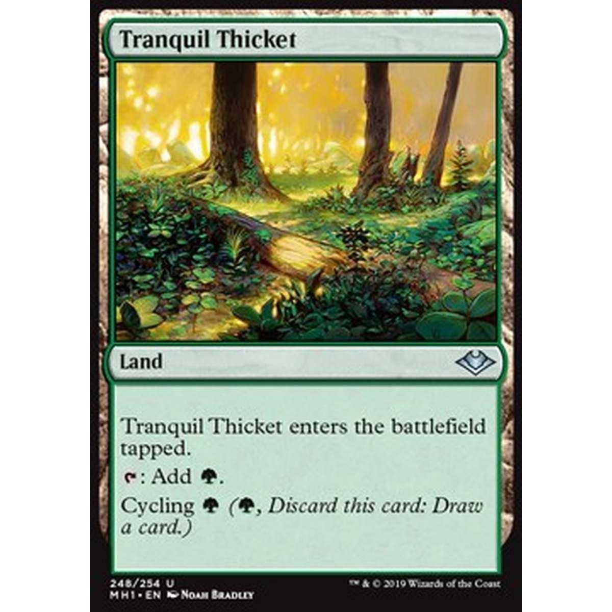 Tranquil Thicket - Boschetto Tranquillo - [MH1] [EX] [Foil]