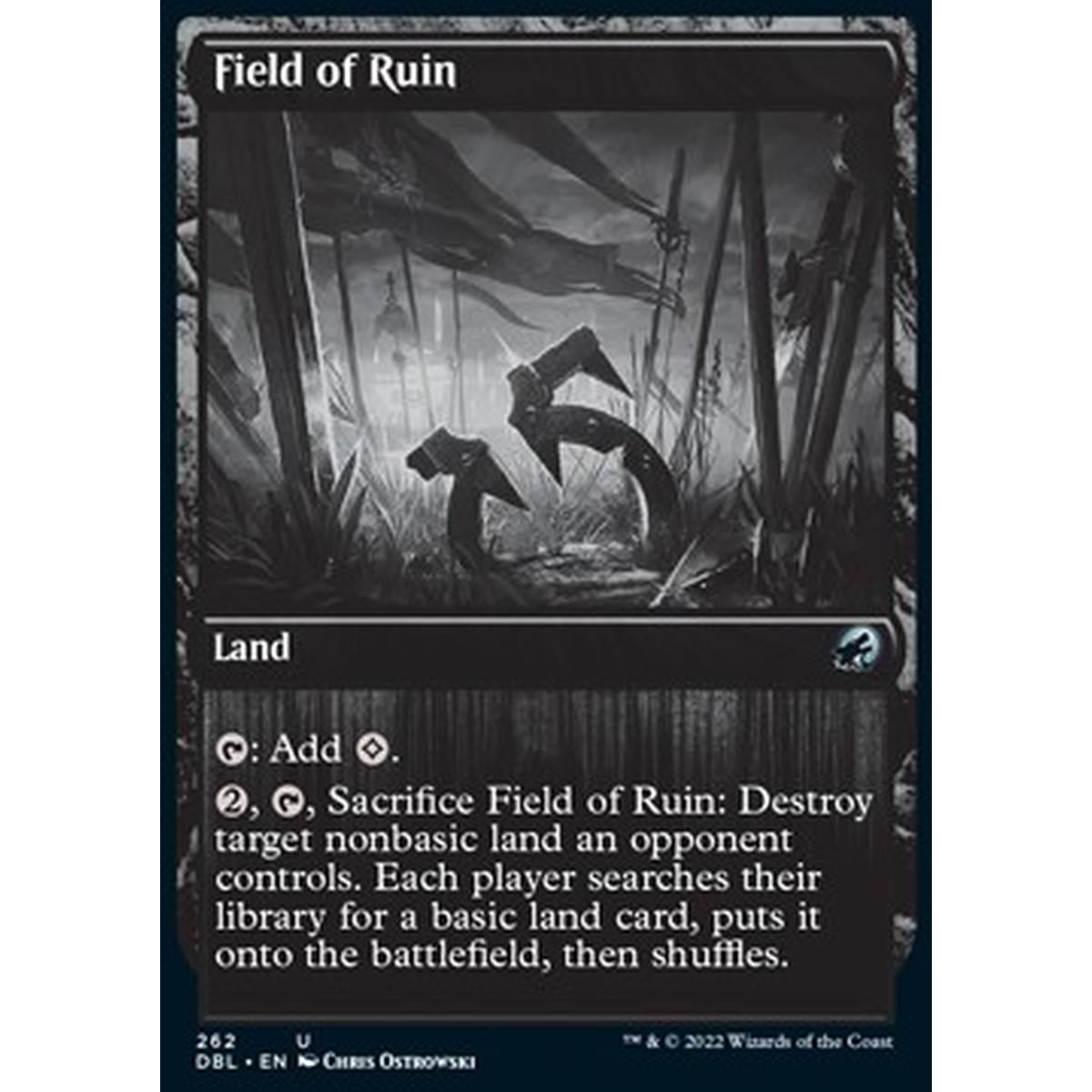 Field of Ruin - Field of Ruin - [DBL] [NM]