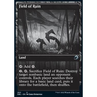 Field of Ruin - Field of Ruin - [DBL] [NM]