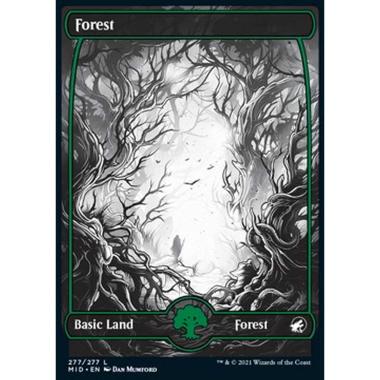 Forest (V.2) - Foresta (V.2) - [MID] [NM] [Foil]