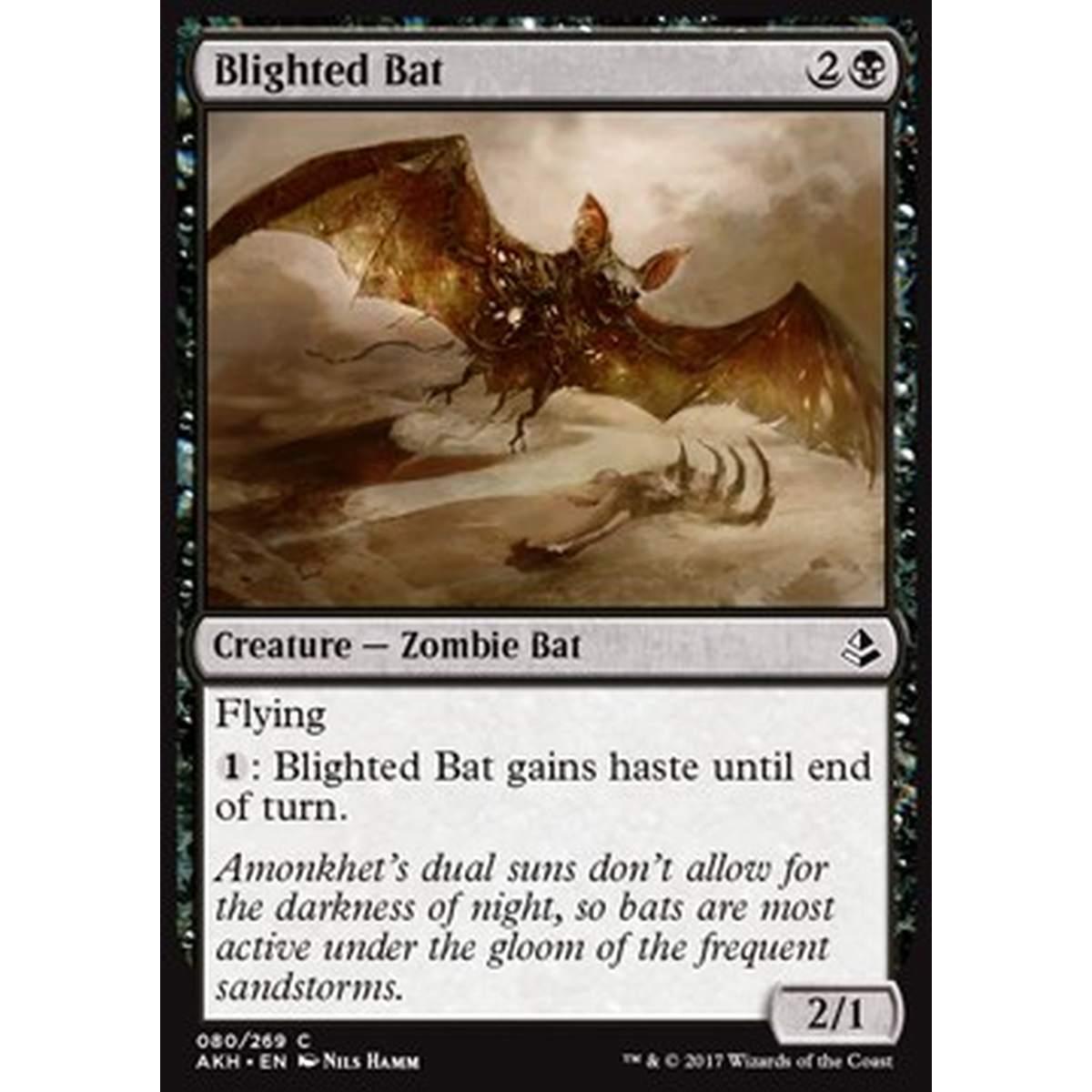 Blighted Bat - Pipistrello Avvizzito - [AKH] [NM]