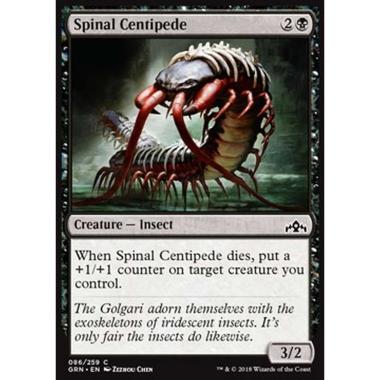 Spinal Centipede - Centopiedi Spinale - [GRN] [NM]