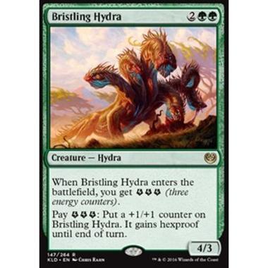 Bristling Hydra - Idra Irsuta - [KLD] [NM]