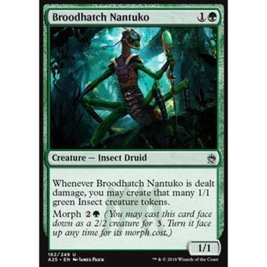 Broodhatch Nantuko - Broodhatch Nantuko - [A25] [NM]