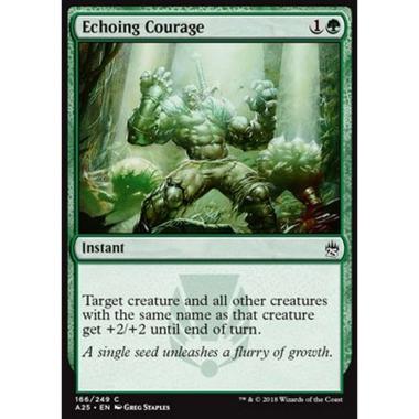 Echoing Courage - Echoing Courage - [A25] [NM]