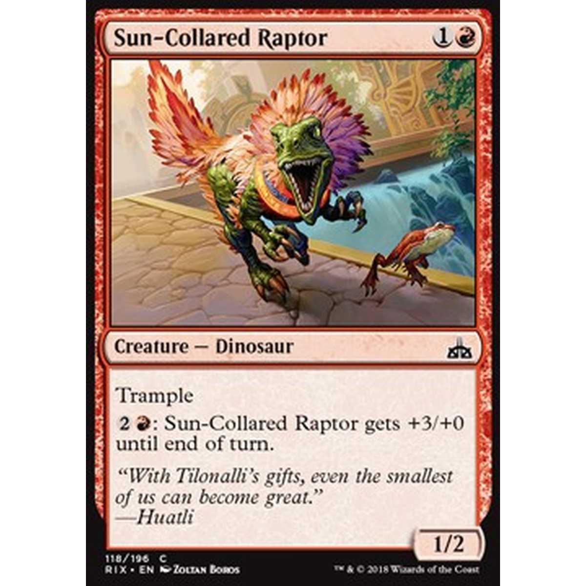 Sun-Collared Raptor - Raptor dal Collare Solare - [RIX] [NM]