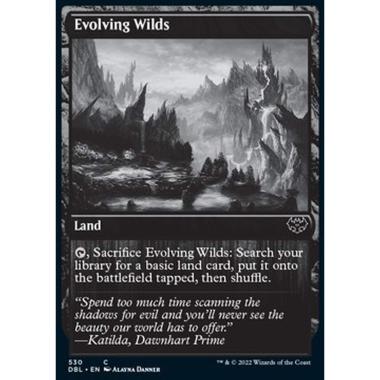 Evolving Wilds (V.2) - Evolving Wilds (V.2) - [DBL] [NM] [Foil]