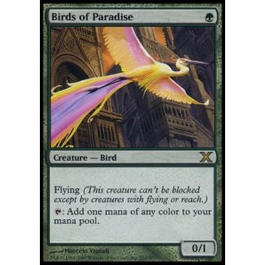 Birds of Paradise - Birds of Paradise - [10E] [GD]