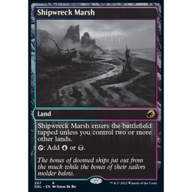 Shipwreck Marsh - Shipwreck Marsh - [DBL] [NM]