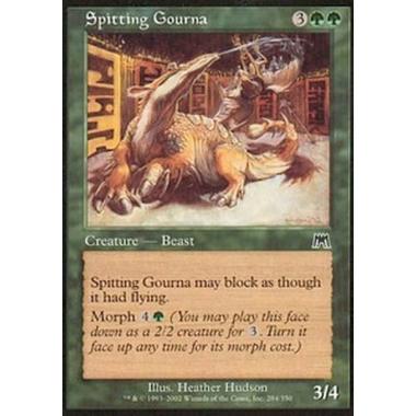 Spitting Gourna - Gurna Sputatore - [ONS] [NM]