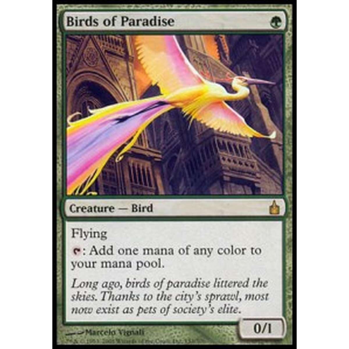 Birds of Paradise - Birds of Paradise - [RAV] [GD]