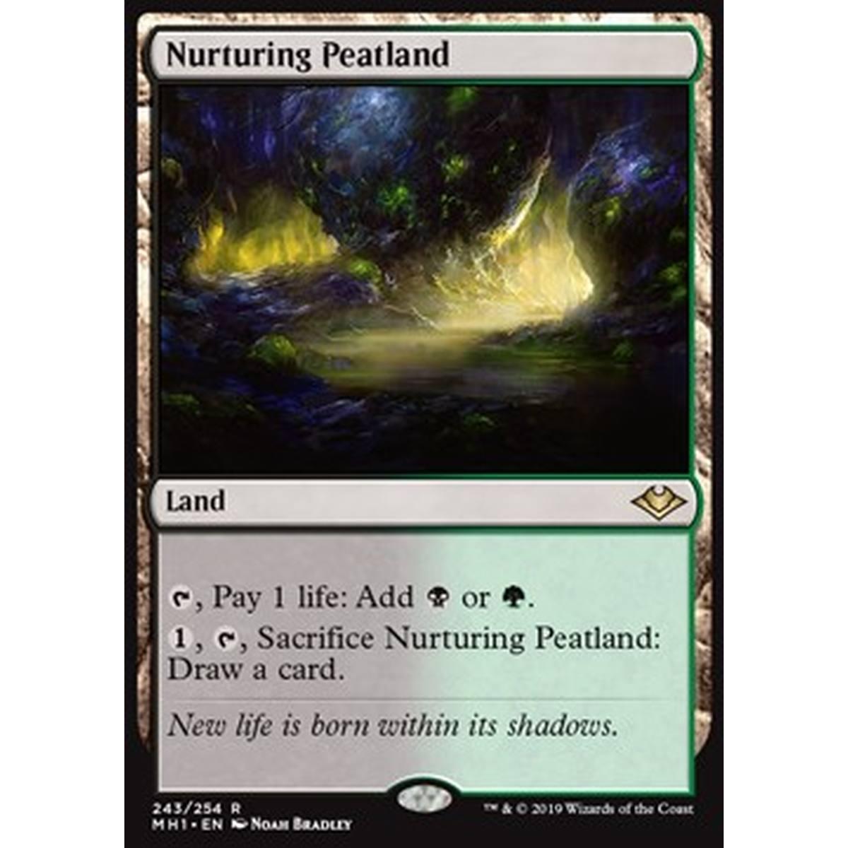 Nurturing Peatland - Nurturing Peatland - [MH1] [EX]