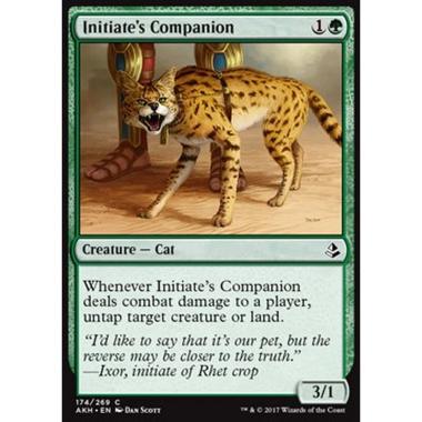 Initiate's Companion - Compagno dell'Iniziato - [AKH] [NM]