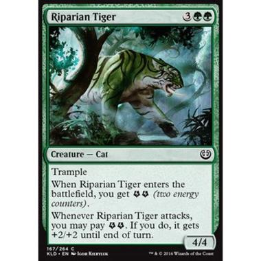 Riparian Tiger - Tigre delle Rive - [KLD] [NM] [Foil]